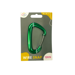 WireSnap