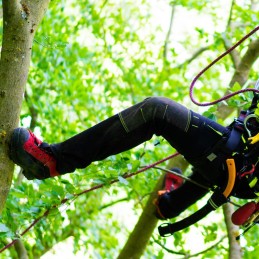 Arborist pants Sherman