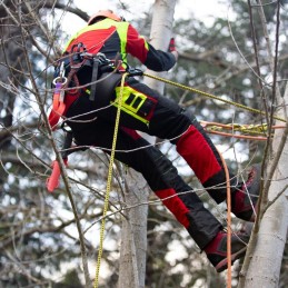 Protected arborist pants Infinity