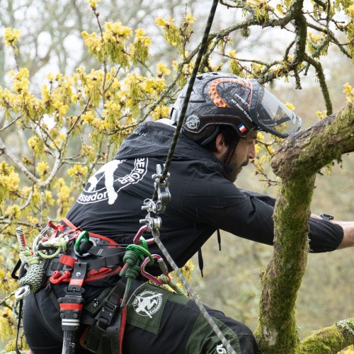 Matériel d'élagage pour arboristes-grimpeurs