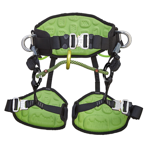 Harnesses