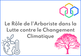 Le Rôle de l'Arboriste dans la Lutte contre le Changement Climatique