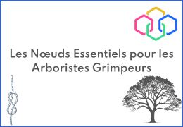 Les Nœuds Essentiels pour les Arboristes Grimpeurs